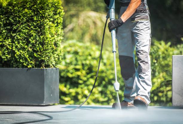Best Vinyl Siding Pressure Washing in Trent Woods, NC