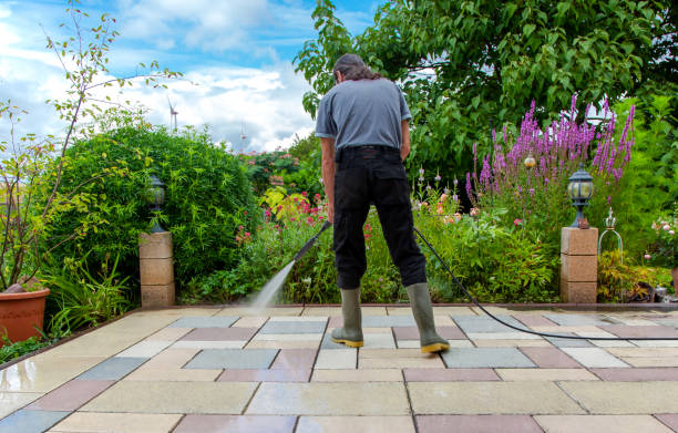 Trusted Trent Woods, NC Pressure Washing Services Experts