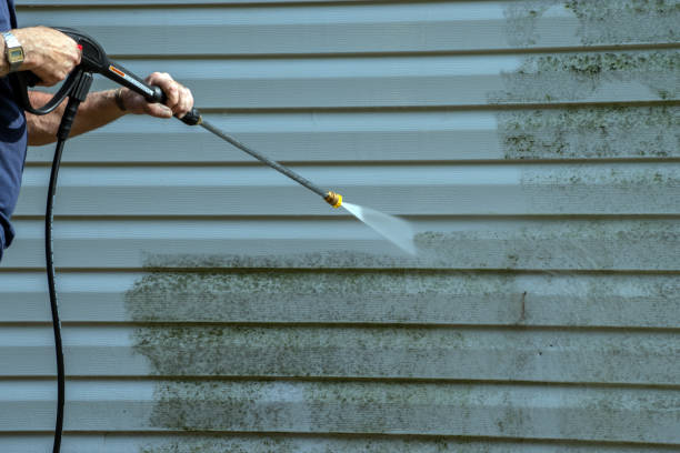 Best Gutter Cleaning and Brightening in Trent Woods, NC